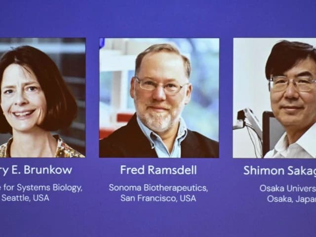 US, Japan scientists win Nobel Prize for breakthroughs in immune system control | The Express Tribune