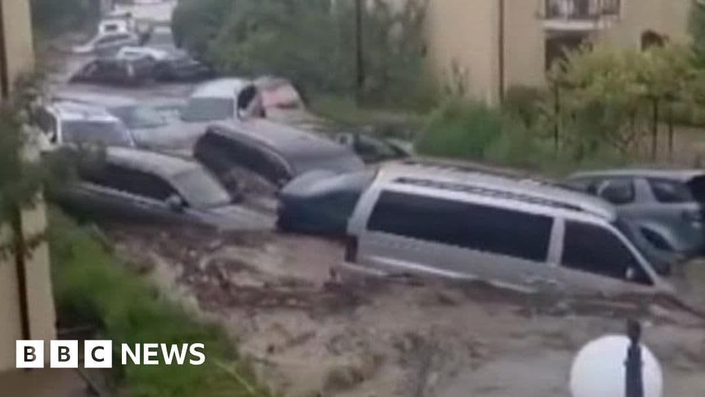 Bulgaria: Cars swept away as floods hit country's south-east