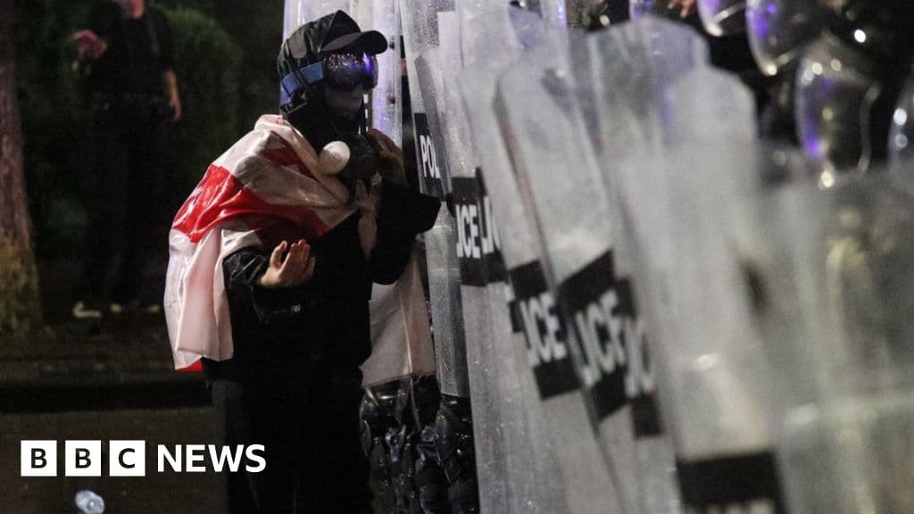 Georgia: Anti-government protesters attempt to storm presidential palace
