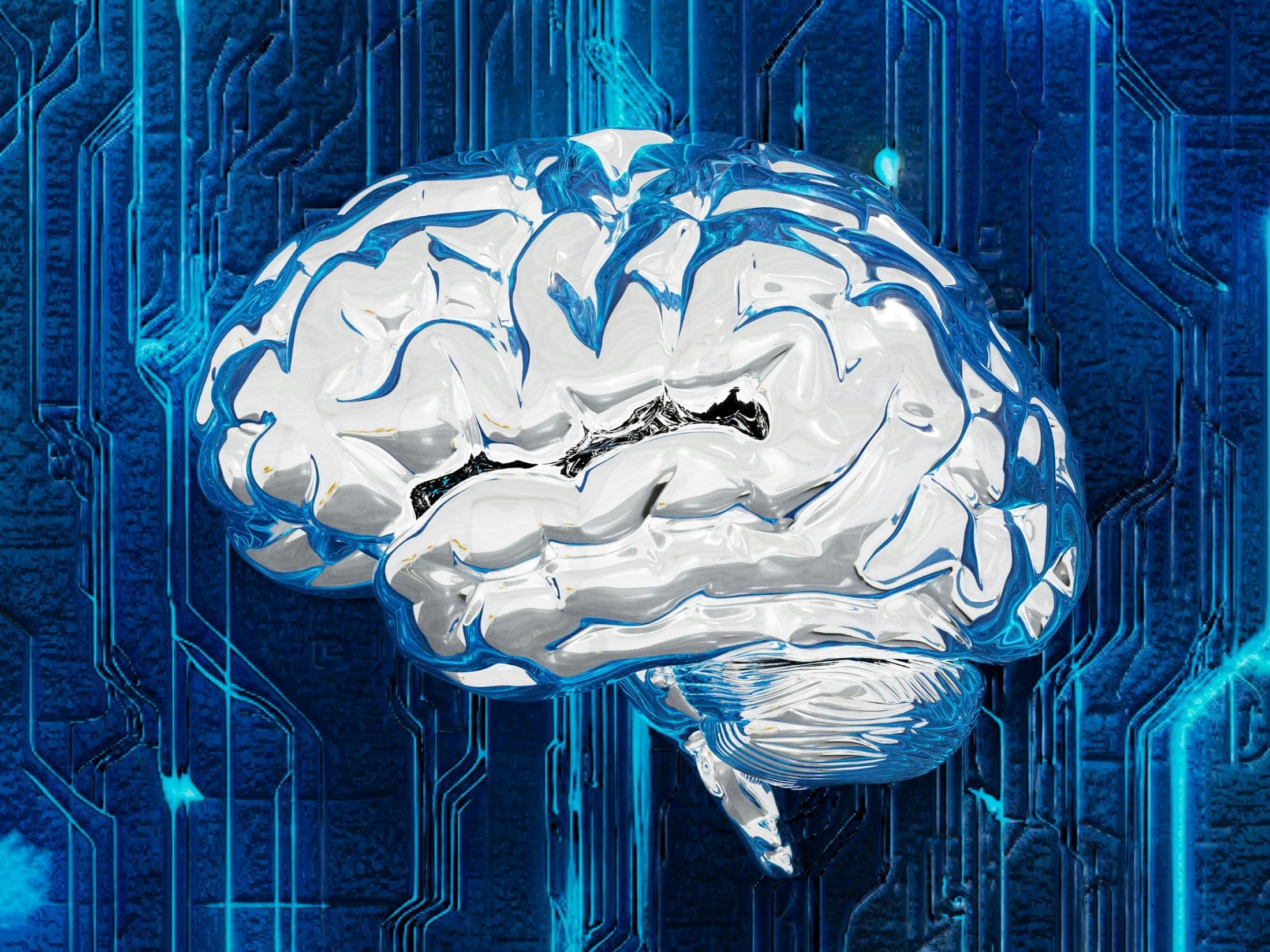 CAMIA privacy attack reveals what AI models memorise