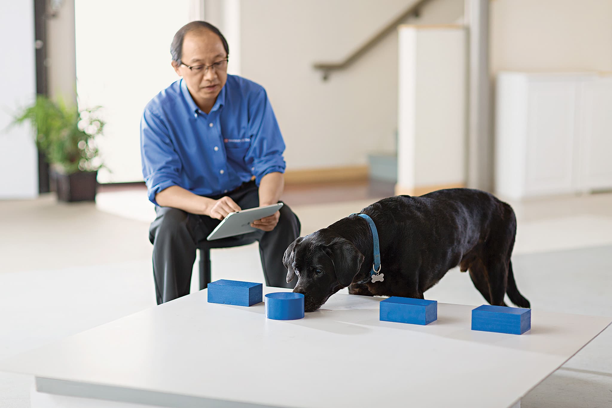 AI causes reduction in users’ brain activity – MIT